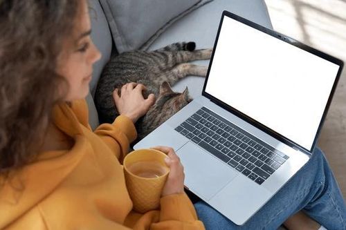 Công nghệ giúp tải phim HD trong vòng 'một nốt nhạc'