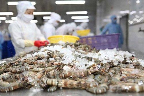 Sao Ta: Sản lượng tiêu thụ tôm tăng, nông sản giảm trong tháng 4/2024