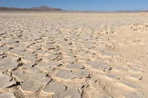 Xuất hiện sinh vật như ngoài hành tinh dưới 'tử địa' Trái Đất