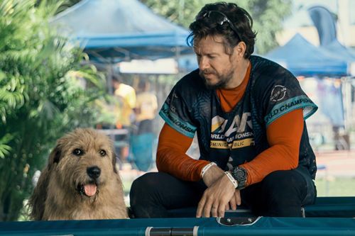 Phim chữa lành của tài tử Mark Wahlberg có gì mà được xem là đối thủ lớn của Lật Mặt 7?