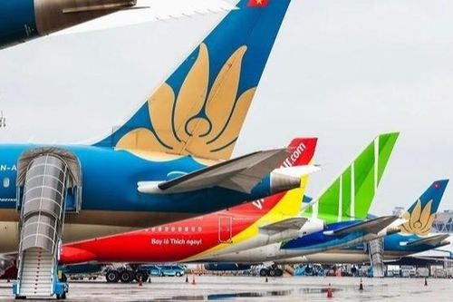 Kiểm tra hoạt động bán, kê khai, niêm yết giá vé máy bay của các hãng hàng không từ ngày 7/5