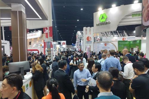 Khám phá ẩm thực toàn cầu tại THAIFEX - Anuga Asia 2024