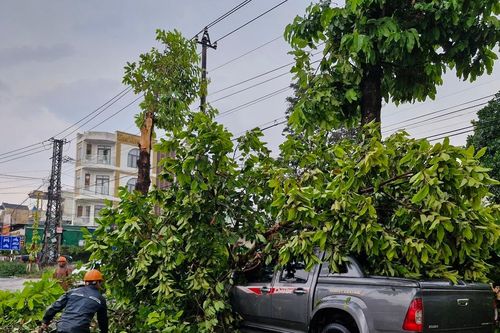 TP. Pleiku: Mưa lớn, cây xanh gãy ngang thân đè lên xe ô tô bán tải