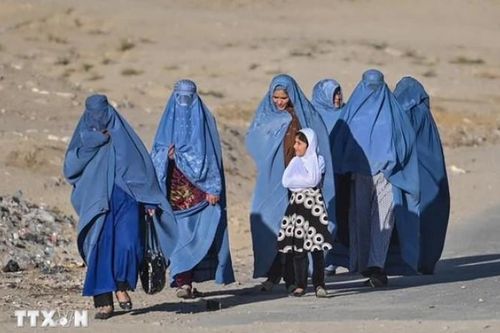 Phụ nữ Afghanistan nỗ lực độc lập về kinh tế