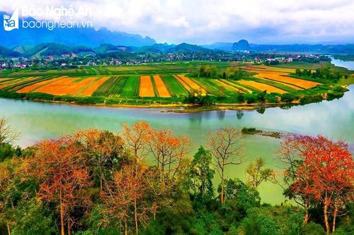 Nỗ lực 'đánh thức' báu vật du lịch Pù Mát