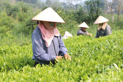 Tạo điểm tựa phát triển nông nghiệp, nông thôn