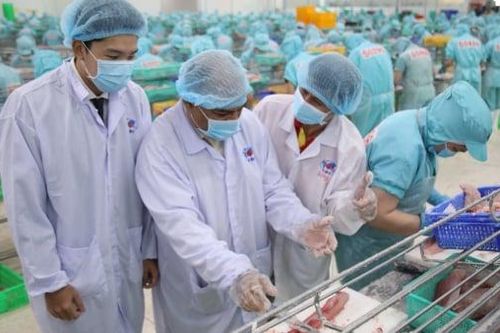 Pyn Elite Fund tiếp tục gom cổ phiếu ASM