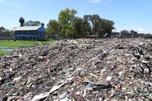 Kenya: Nằm cạnh bãi rác hôi thối nồng nặc, ngôi trường trồng tre để thanh lọc không khí