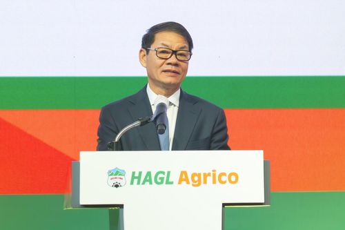 HAGL Agrico lỗ 12 quý, ông Trần Bá Dương vẫn 'đặt cược' vào nông nghiệp