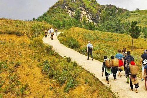 Xu hướng du lịch làm mát với Sa Pa, Việt Nam nổi lên trong các điểm đến mát lạnh hè 2024