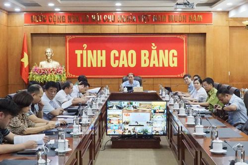 Hội nghị trực tuyến về công tác quản lý, bảo vệ rừng và phòng cháy chữa cháy rừng