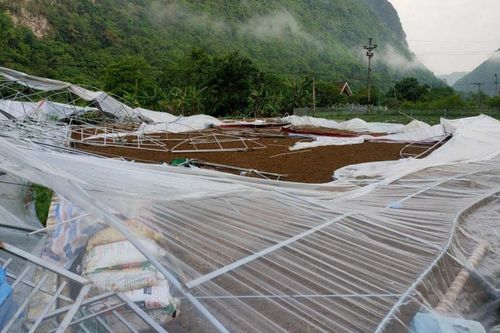 Dông lốc gây thiệt hại hơn 5,7 tỷ đồng