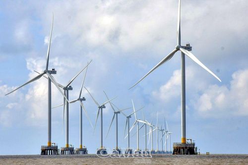 Bắt 6 nghi phạm trộm cắp dây cáp trụ điện gió