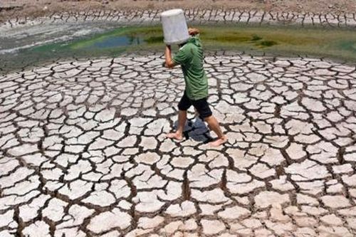 Nông dân Đông Nam Á chống chọi nắng nóng khắc nghiệt lan rộng