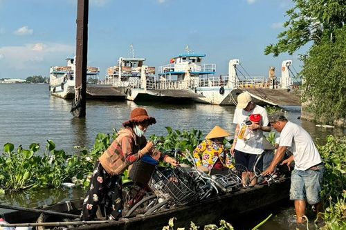 Phà sông Hậu tiếp tục dừng hoạt động