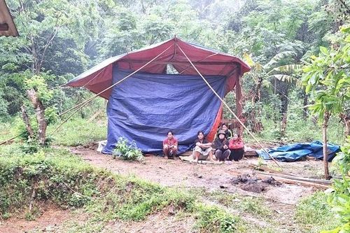 Quảng Bình: Truy bắt nghi phạm giết người rồi trốn vào rừng