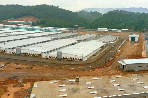 Trang trại lợn ở Thanh Hóa gây ô nhiễm môi trường