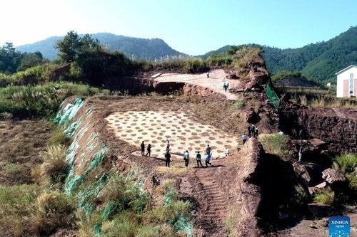 Trung Quốc: Phát hiện dấu chân một trong những loài khủng long ăn thịt lớn nhất thế giới