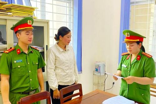 Nữ giám đốc công ty môi trường bị khởi tố vì trốn thuế