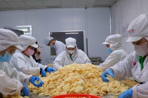 15 tấn củ sen Đồng Tháp lần đầu xuất Nhật