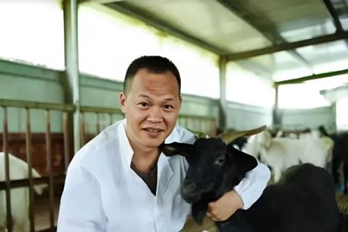 Sinh viên về quê chăn dê, làm giàu cho cả ngôi làng