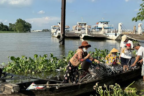 Phà tiếp tục dừng hoạt động, người dân liều mình đi ghe, xuồng qua sông Hậu