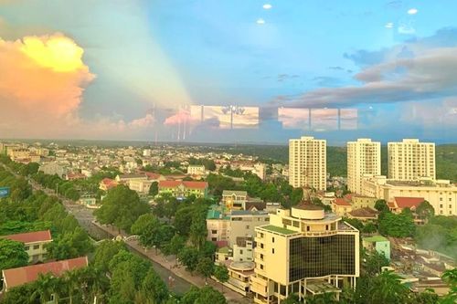 Bộ Công an yêu cầu hàng loạt địa phương cung cấp hồ sơ đấu thầu các dự án trồng cây xanh