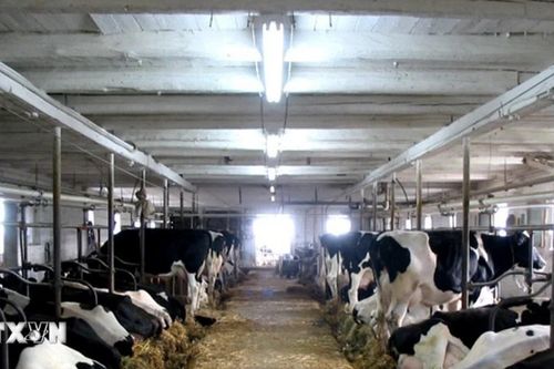 Ngân hàng Thế giới chỉ ra cách thiết thực giúp giảm 1/3 lượng phát thải toàn cầu