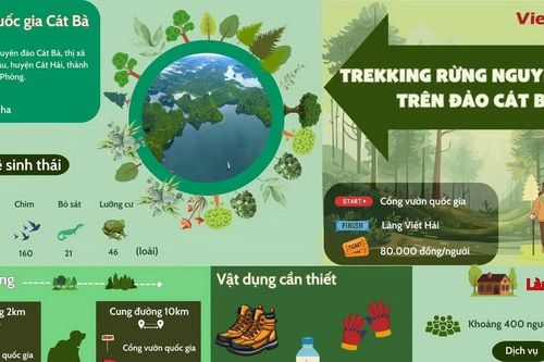 Trải nghiệm cung đường trekking 10km rừng nguyên sinh trên đảo Cát Bà