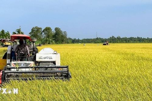 Việt Nam-Australia tăng cường hợp tác trong lĩnh vực nông nghiệp