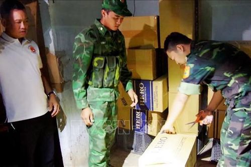 Phát hiện, xử lý nhiều vụ vi phạm pháp luật