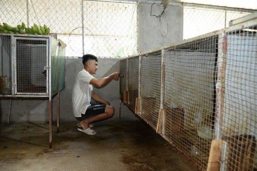 Anh nông dân 9X lãi hàng trăm triệu nhờ nuôi con 'ngủ ngày, cày đêm'