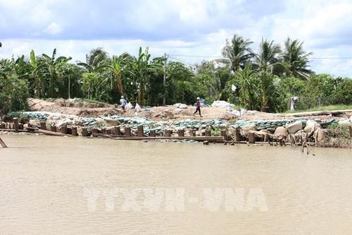 Bến Tre đầu tư hơn 300 tỷ đồng khắc phục sạt lở bờ sông, bờ biển