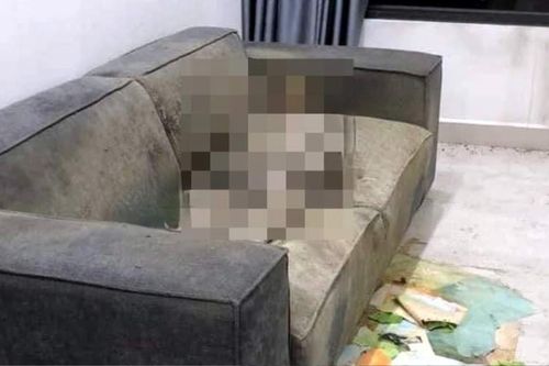 Toàn cảnh vụ cô gái chết khô trên sofa: Lần theo dấu vết như thế nào?