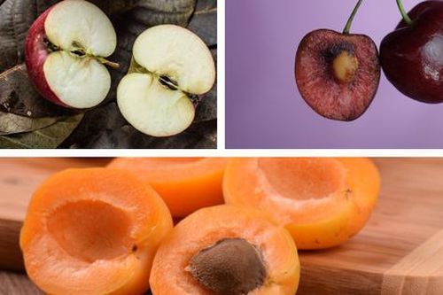 4 loại trái cây không nên ăn hạt vì chứa chất độc, có loại còn gây hôn mê do hạ đường huyết