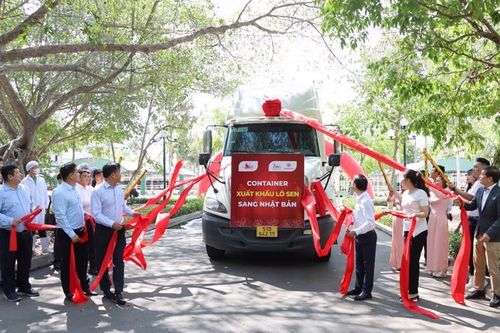 Lô củ sen đầu tiên của Việt Nam xuất khẩu sang Nhật Bản