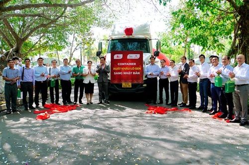 Đồng Tháp công bố xuất khẩu lô củ sen sang Nhật Bản
