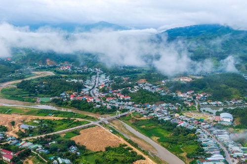 Rừng xà nu ngày ấy…