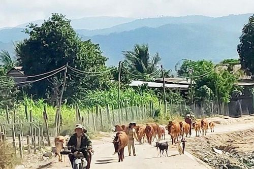 Người dân Ia Rsươm góp sức làm đường