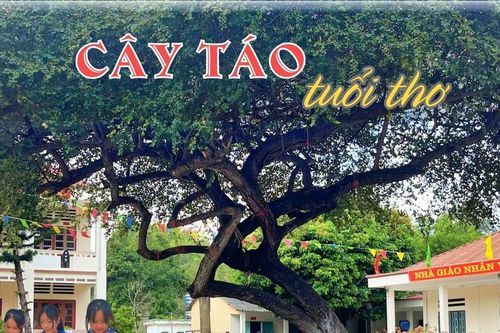 Cây táo tuổi thơ