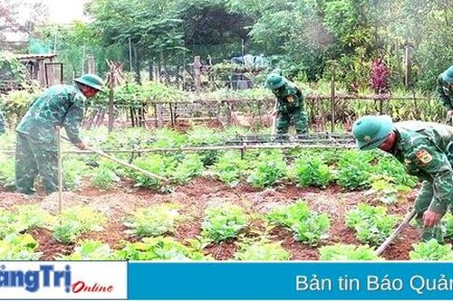 Tích cực tăng gia, sản xuất nơi vùng cát trắng