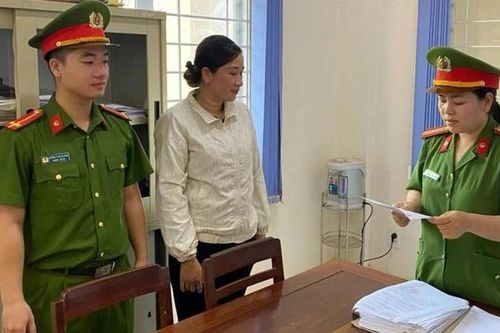 Gia Lai: Khởi tố Giám đốc Công ty Thi Nhị để điều tra về tội trốn thuế
