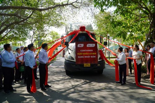 Đồng Tháp lần đầu xuất khẩu 15 tấn củ sen tươi sang Nhật Bản