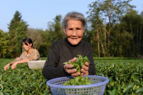 3 thói quen đơn giản giúp cụ bà sống thọ hơn 100 tuổi