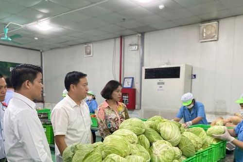 Kiểm tra an toàn thực phẩm tại quận Hoàng Mai và huyện Thanh Trì