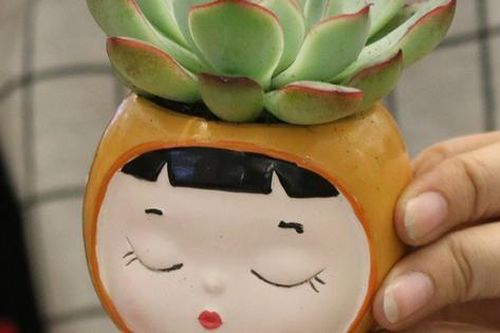 Đổi vỏ sữa lấy sen đá: Cách giới trẻ lan tỏa lối sống xanh