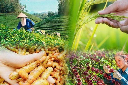 Xu hướng sử dụng bột thiên nhiên trong làm đẹp?