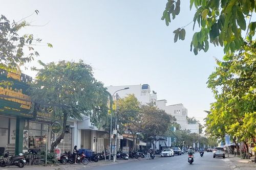 Nhiều địa phương ở ĐBSCL rà soát các dự án trồng cây xanh, chỉnh trang đô thị theo yêu cầu của Bộ Công an