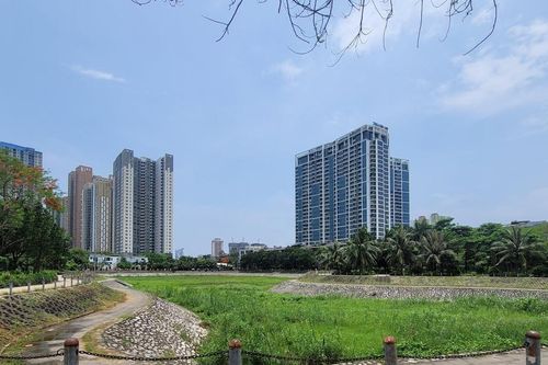 Hà Nội: Hồ điều hòa cạn khô, khuôn viên xuống cấp, trở thành chỗ trồng rau
