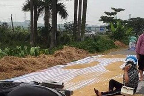 Nam Định: 'Đến hẹn' lại bất an với tình trạng đốt rơm rạ, phơi thóc trên đường